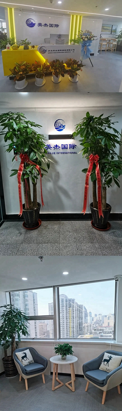 1743148044840548.png image.png